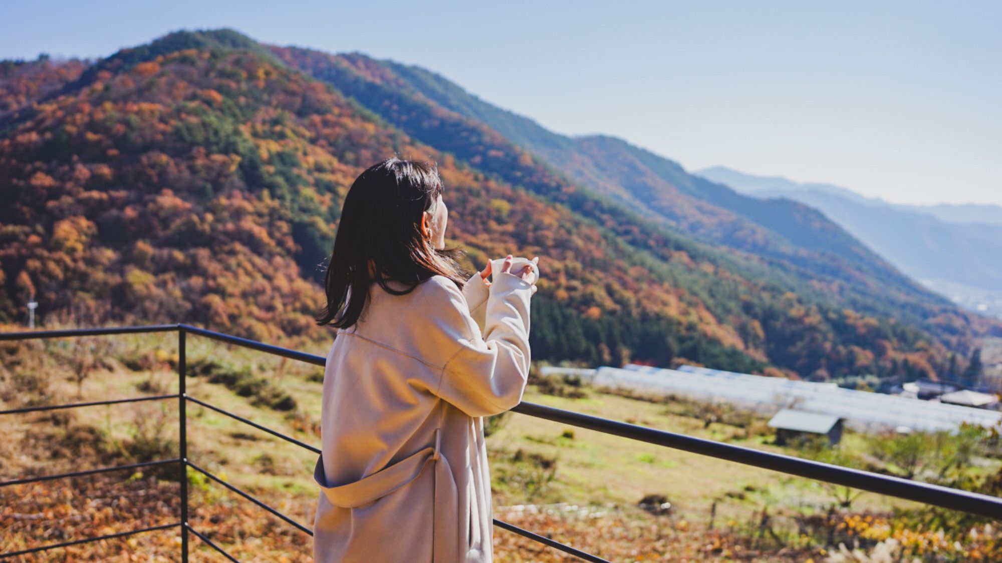  自然が一面に広がる感動ロケーション