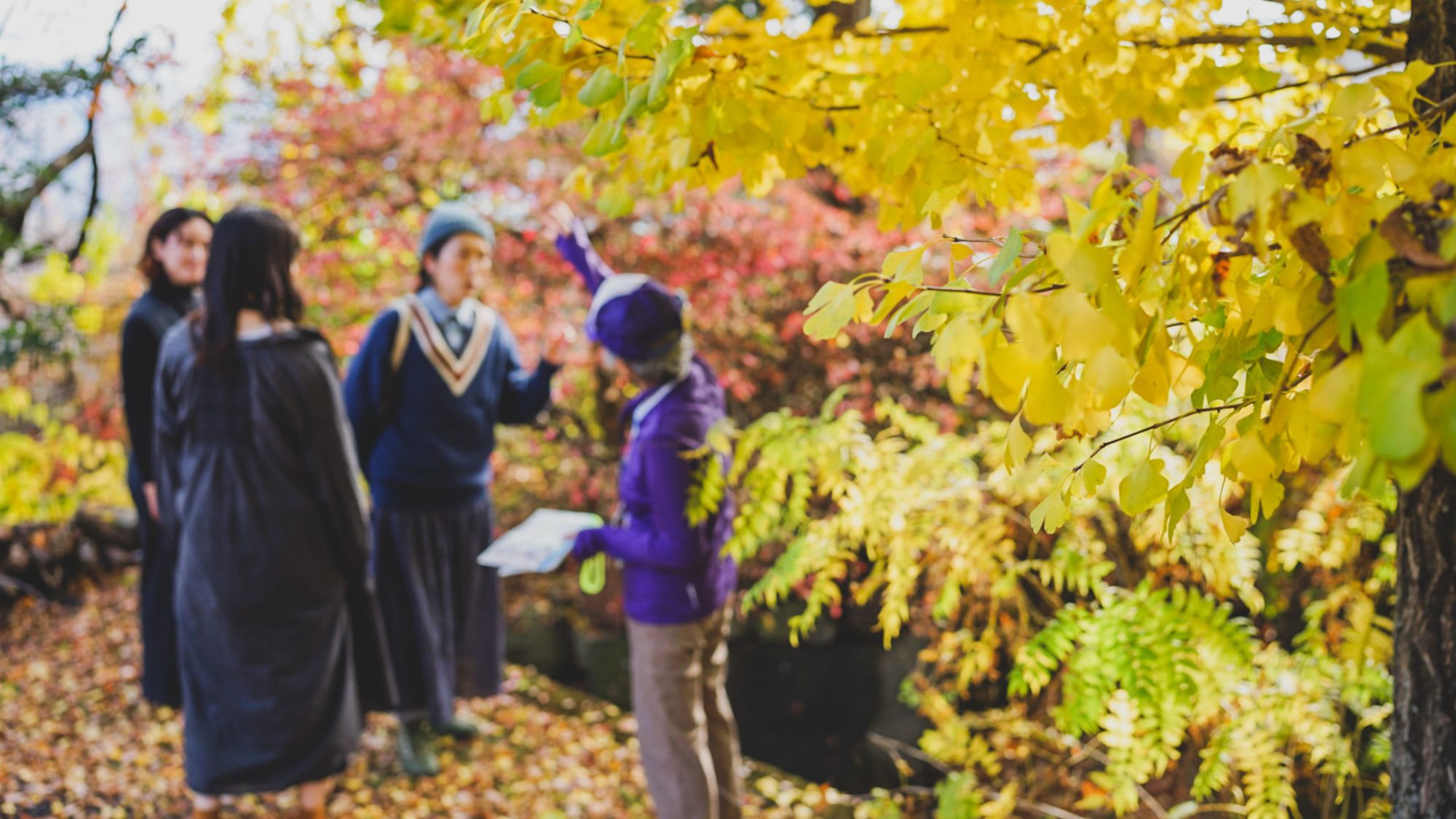 地域の方のガイドによる宿周辺の散策