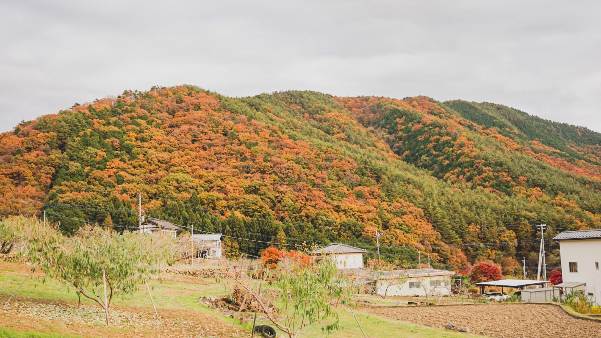 季節によって変わる景観