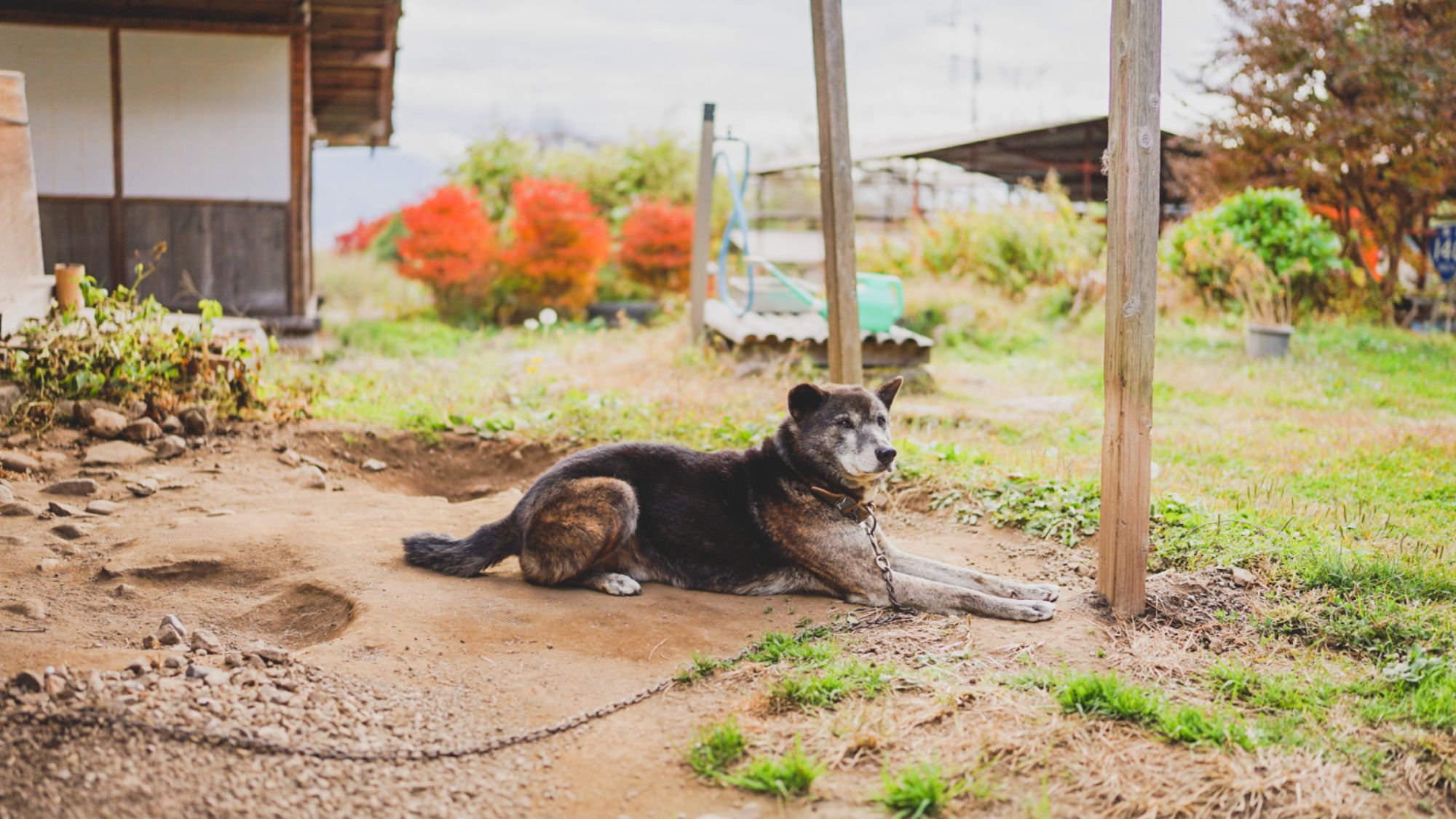 のどかな時間が流れています