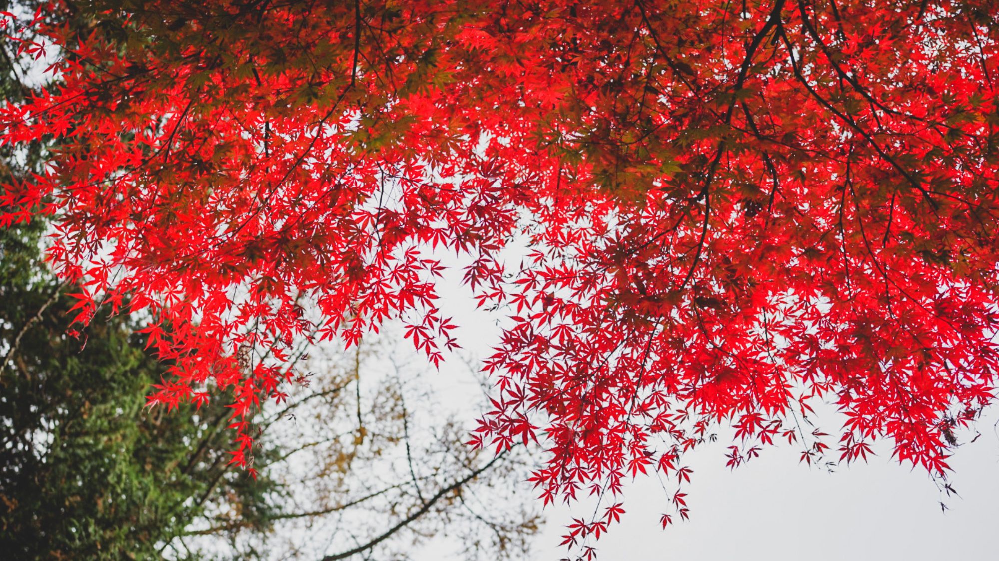 季節によって変わる景観