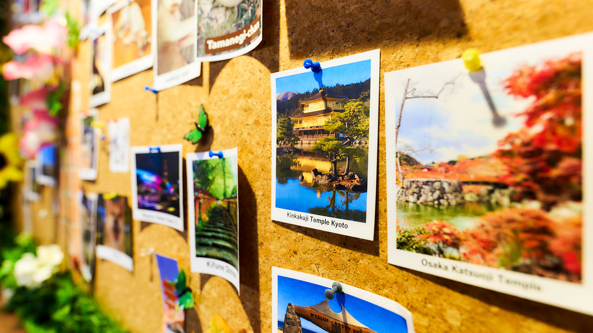 ・【名所写真】観光名所の写真を展示しています。旅の参考としてどうぞ