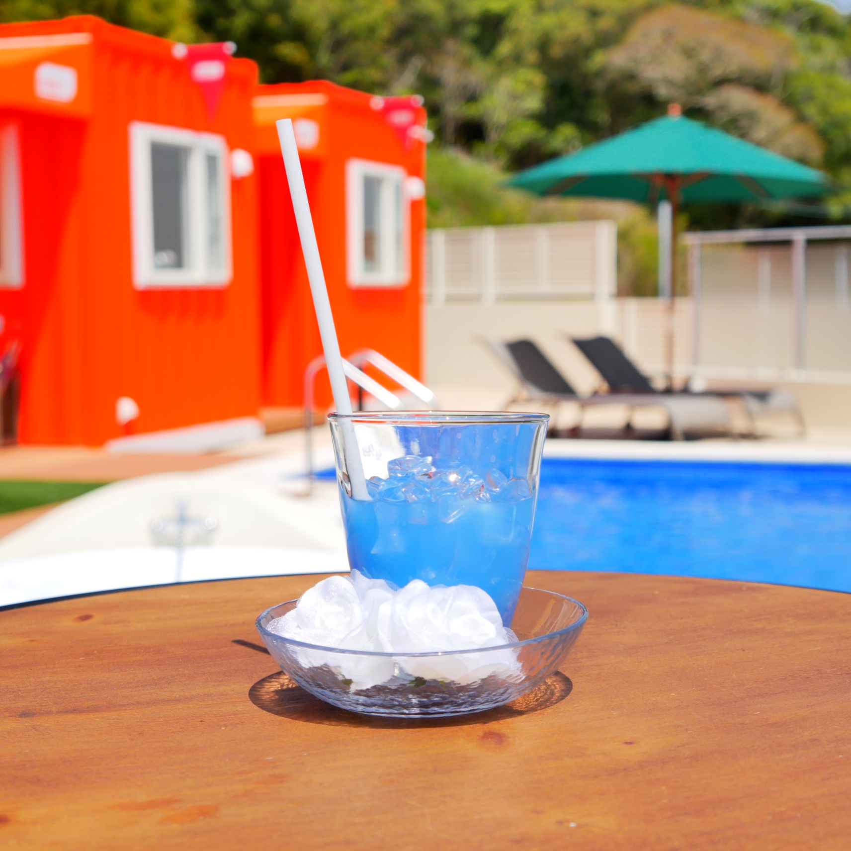 昼・バーカウンター①