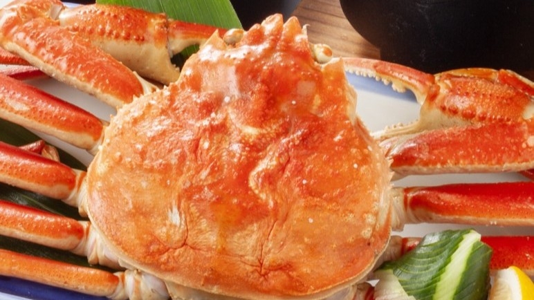 【2食付】ずわい蟹一杯付き★美と健康をテーマに九谷焼きで食するSARAI和洋創作料理をご堪能＝★