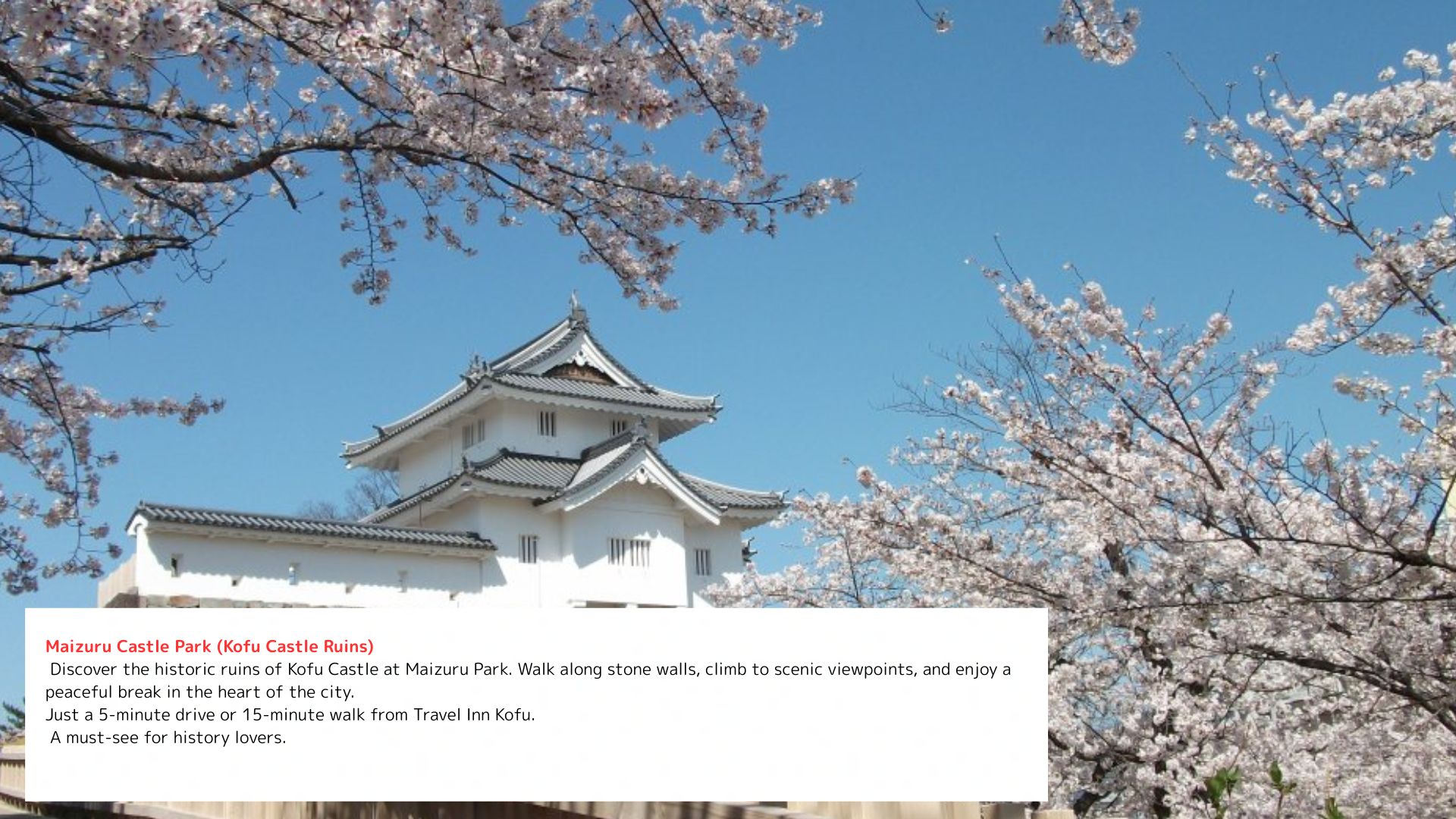 Maizuru Castle Park (Kofu Castle Ruins)