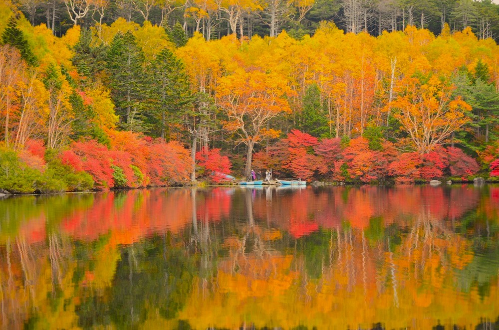 白駒池の紅葉