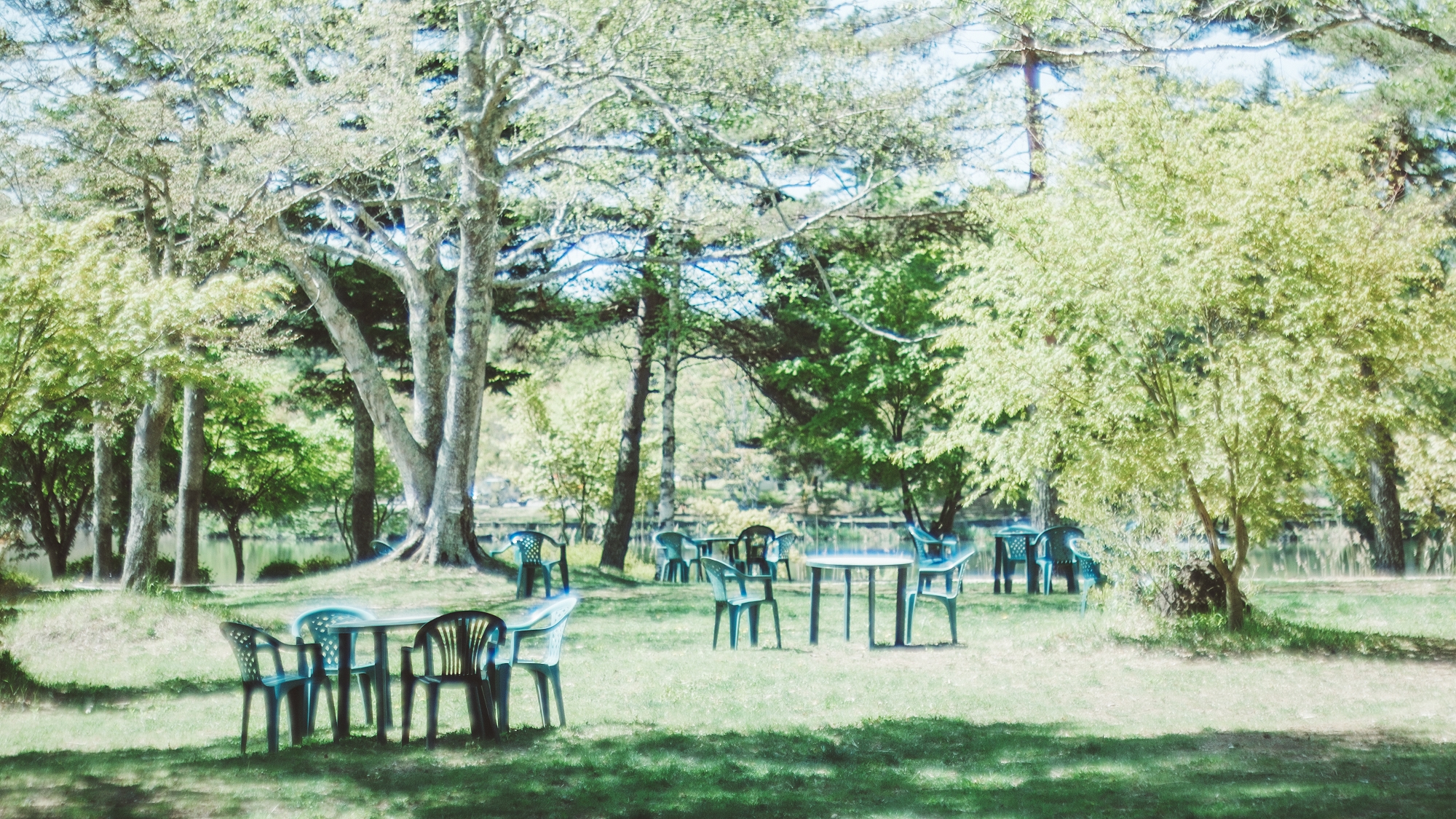 宿から見た湖畔の様子