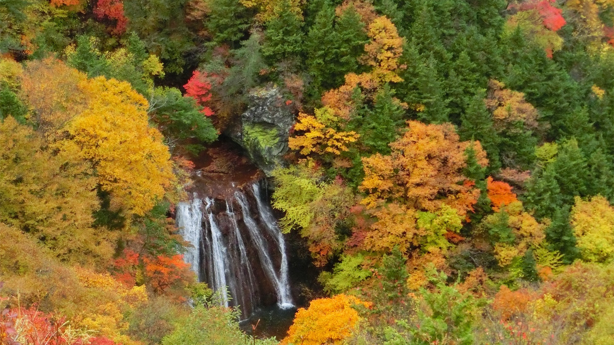 横谷観音紅葉