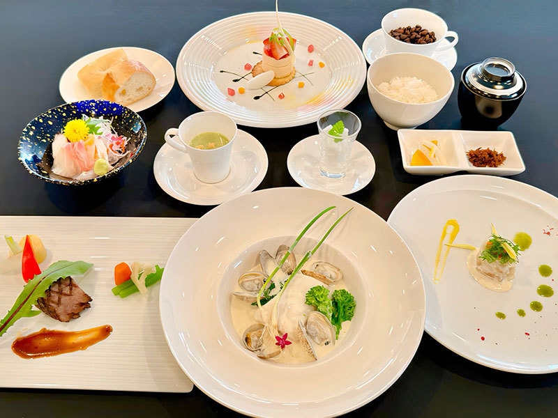 ライトコースプラン(2026年3月〜)