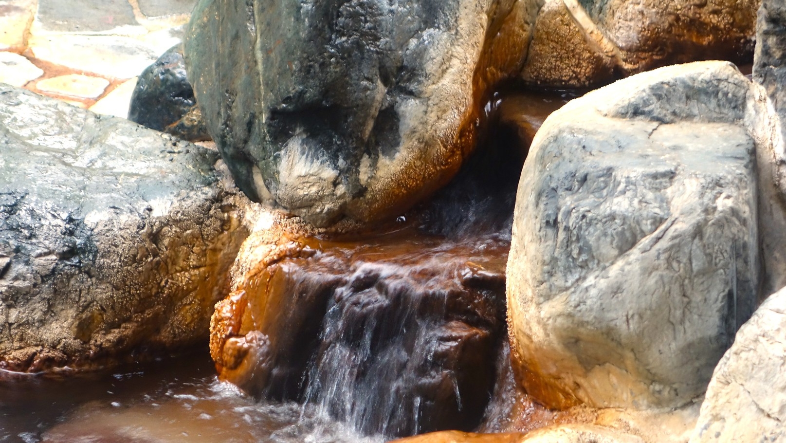 【北陸3県限定】10％割引お土産券付！富山ブランド牛すき焼きと地酒20種類も愉しめる90分飲放題付♪