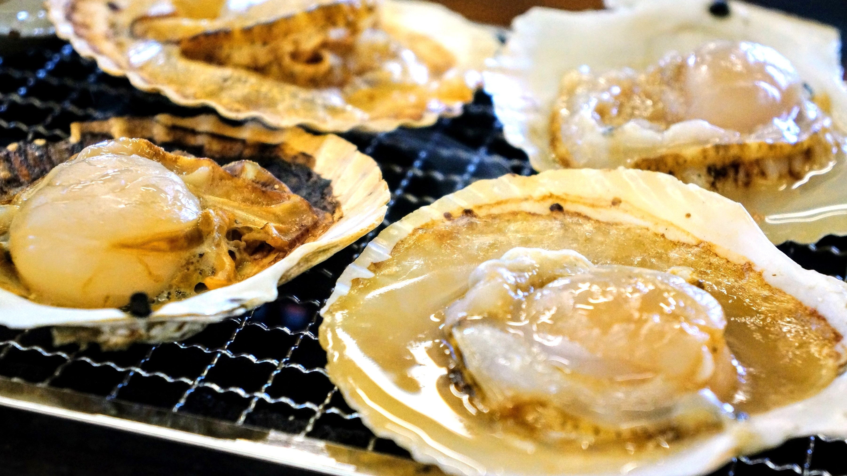 新鮮ホタテ炉端焼き！2025 5.12～6.30迄