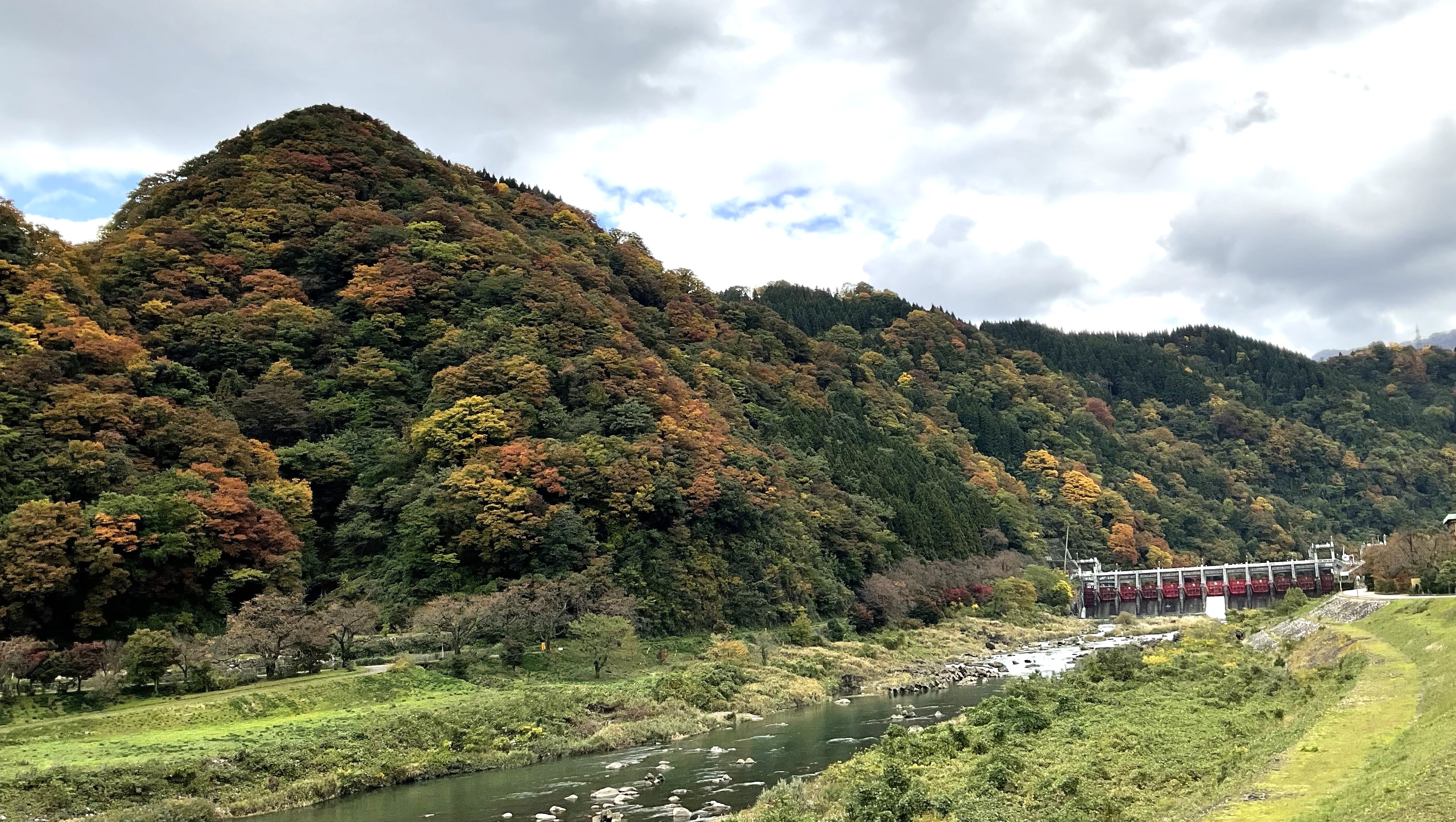 紅葉シーズン到来