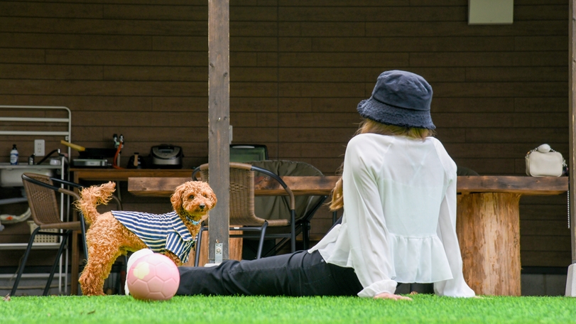 愛犬と一緒に楽しもう　プライベートドッグラン＆サウナ付　1泊2食黒毛和牛BBQプラン　幼児無料