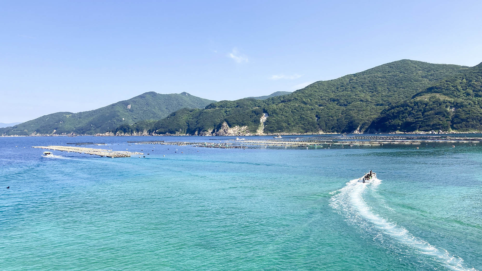 【朝夕2食付】たくさんは食べられないけれど地魚は食べたい！そんな思いにお応えしてお手軽海鮮丼プラン