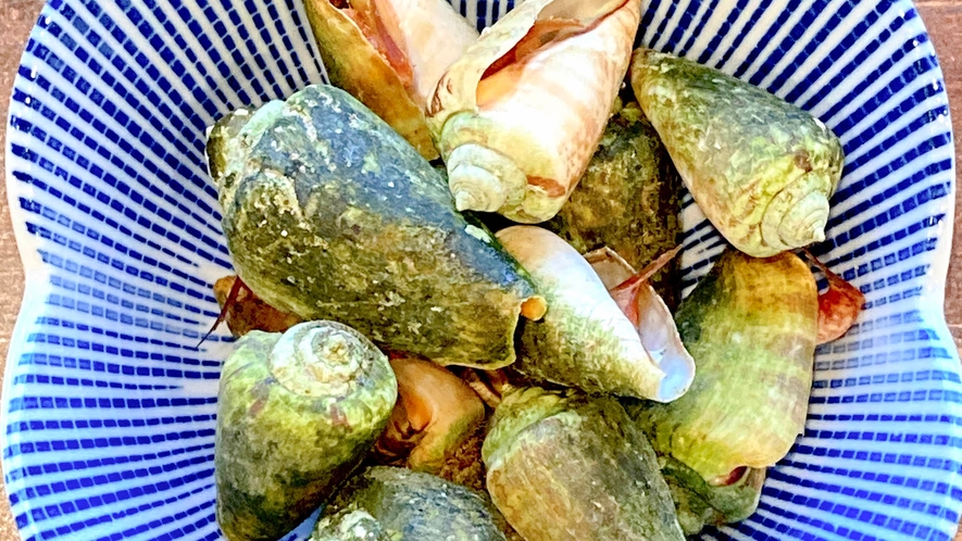 ・【お食事一例】柏島の海で獲れたキリアイを塩茹ででどうぞ