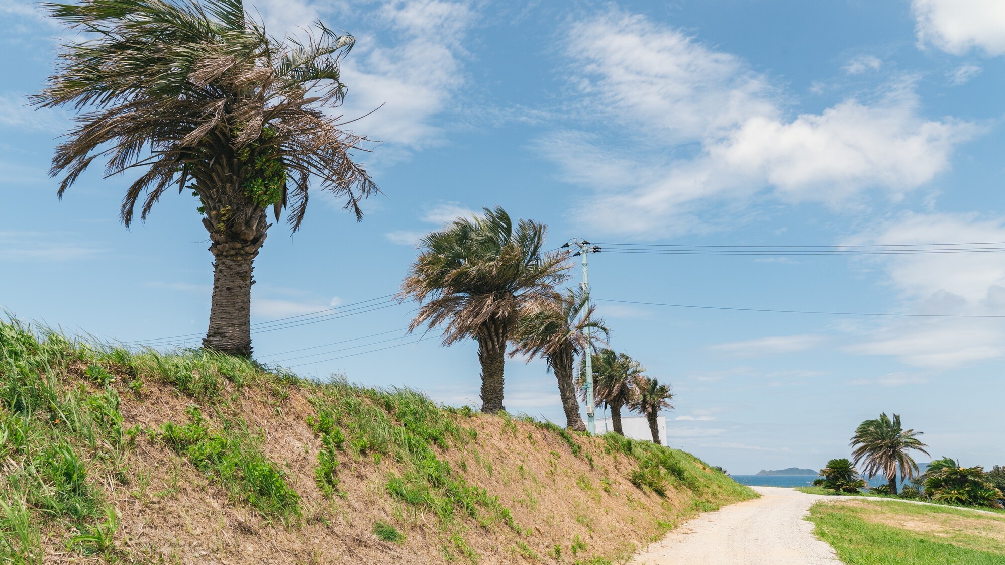 日常から離れて癒しのひと時を
