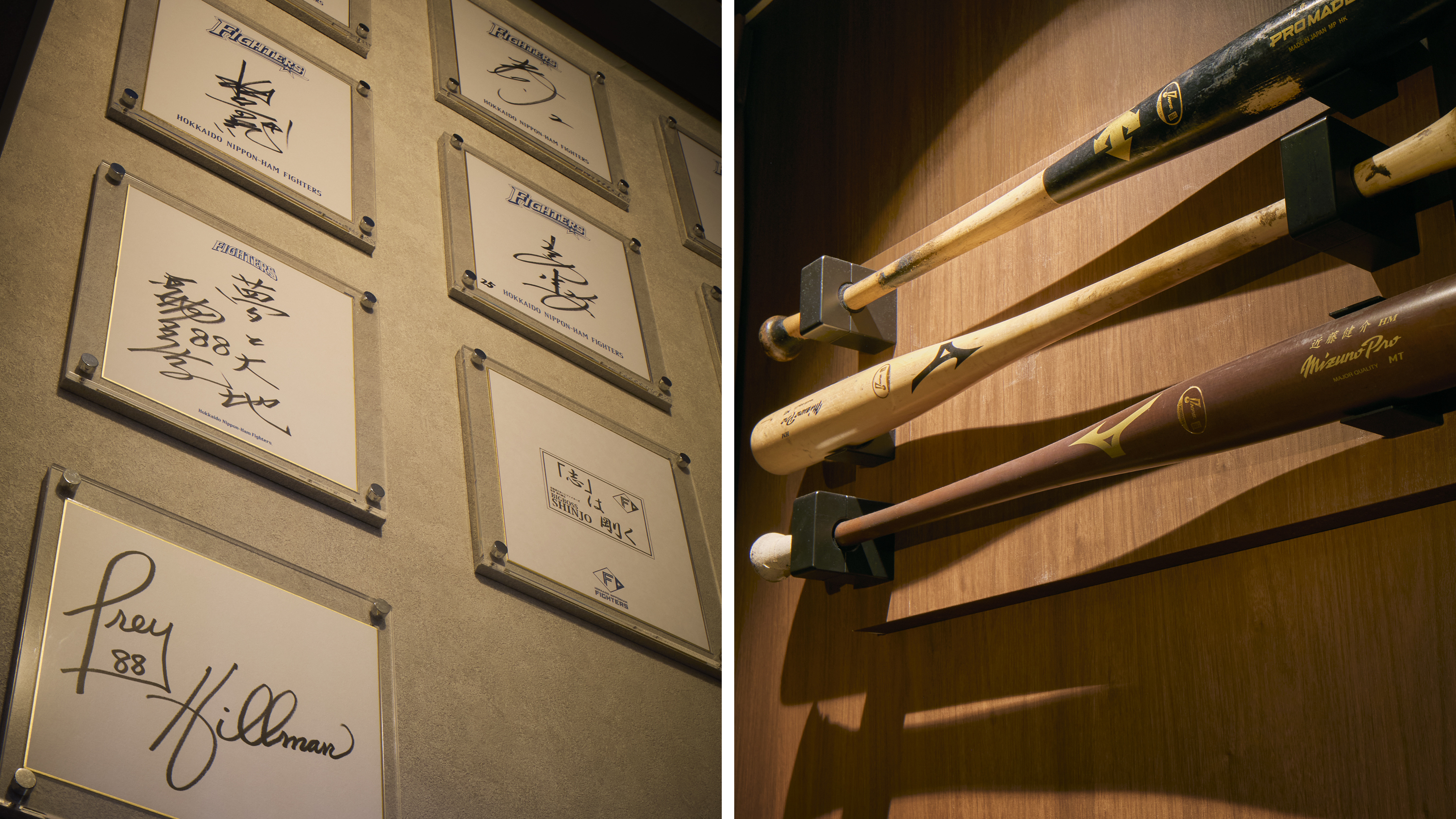 field view &ndash; maisonette