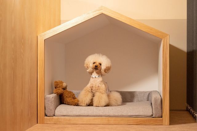 Hillside Villa(With Dog)/G棟 客室愛犬用ベッド