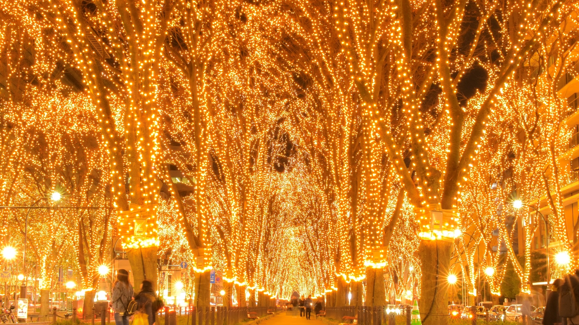 【当館から徒歩５分】「定禅寺通」ケヤキ並木が美しい通り、光のページェントも有名です