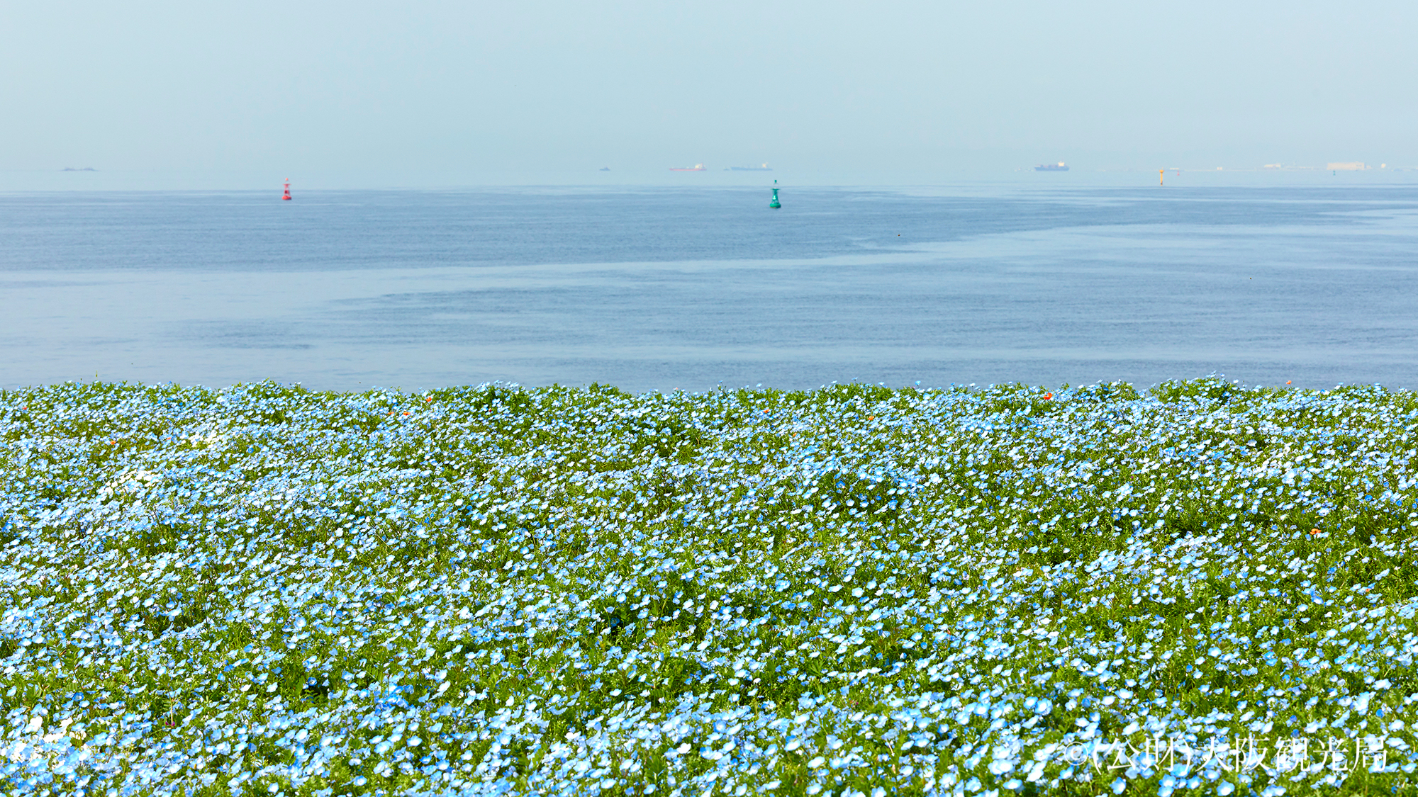 大阪舞洲シーサイドパーク