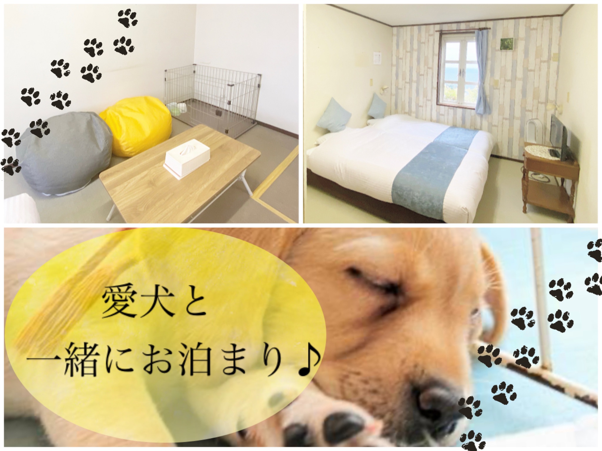 【ペットプラン】愛犬とご宿泊　全客室オーシャンビュー！伊豆諸島を一望！【素泊り】