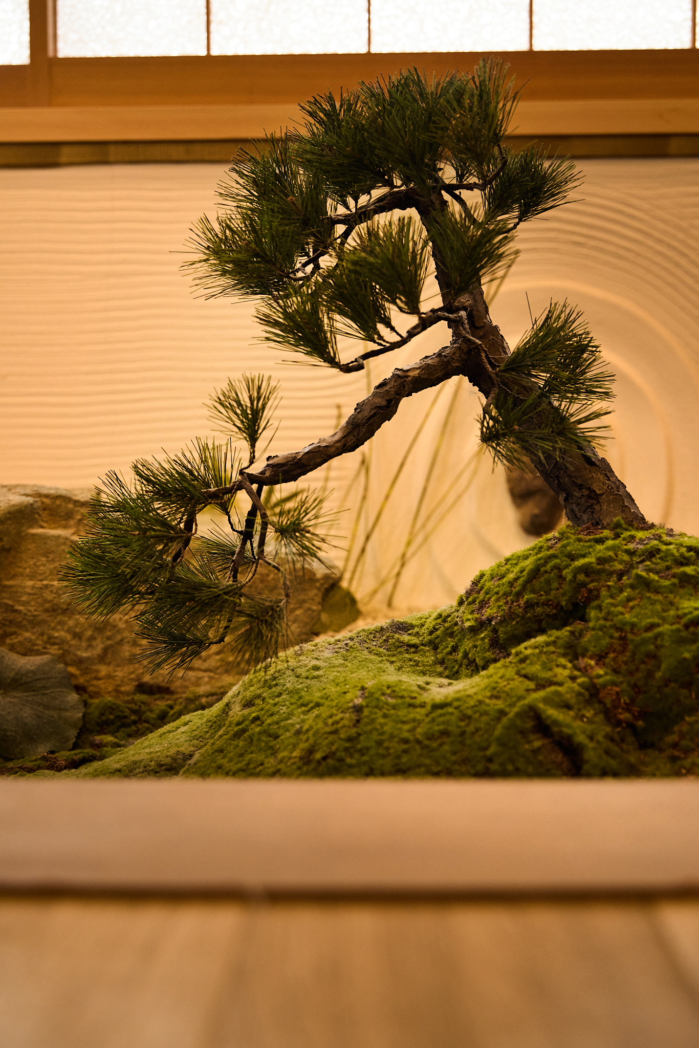 源泉掛け流し総檜風呂付プレミアムルーム