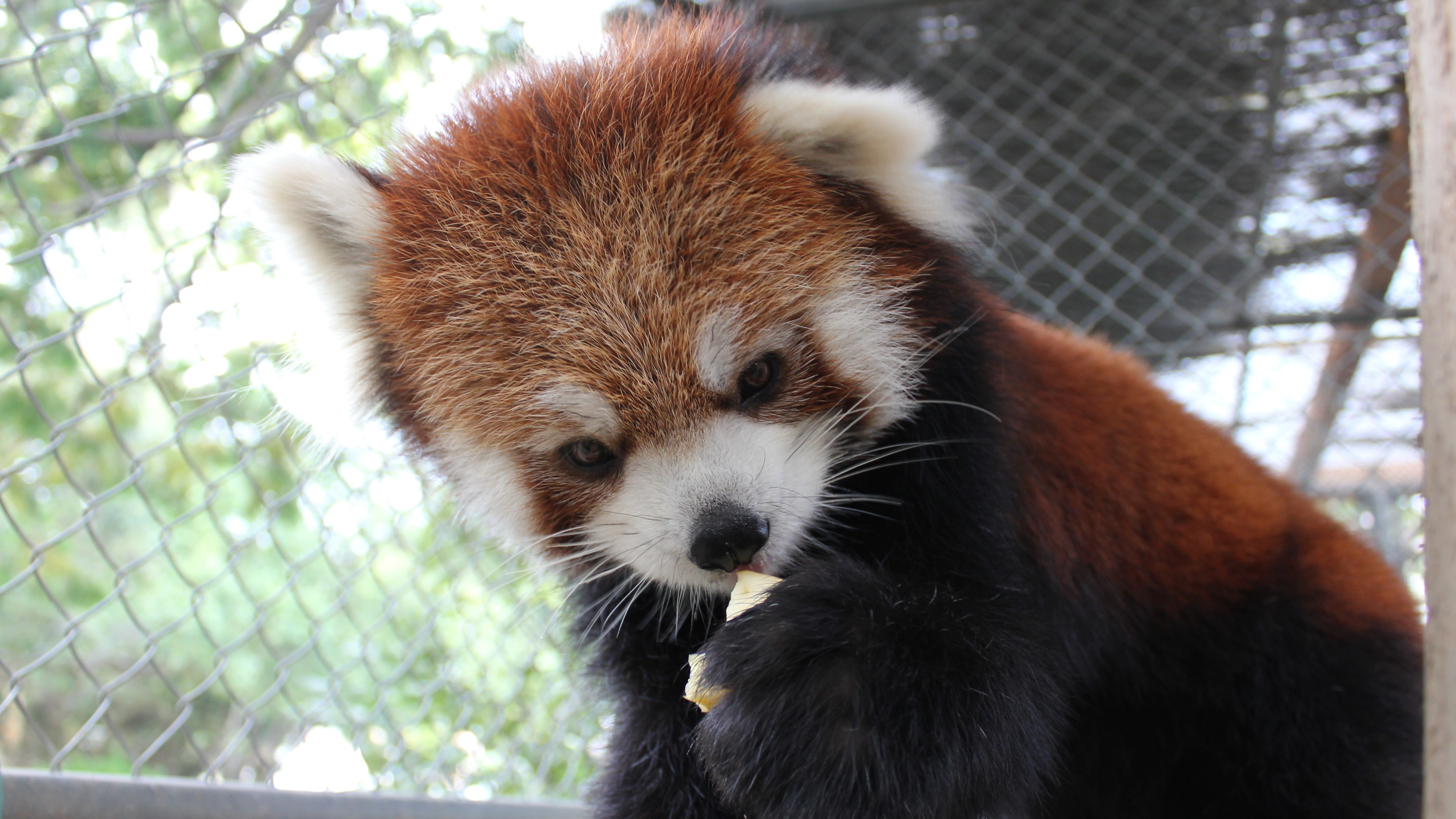 徳山動物園