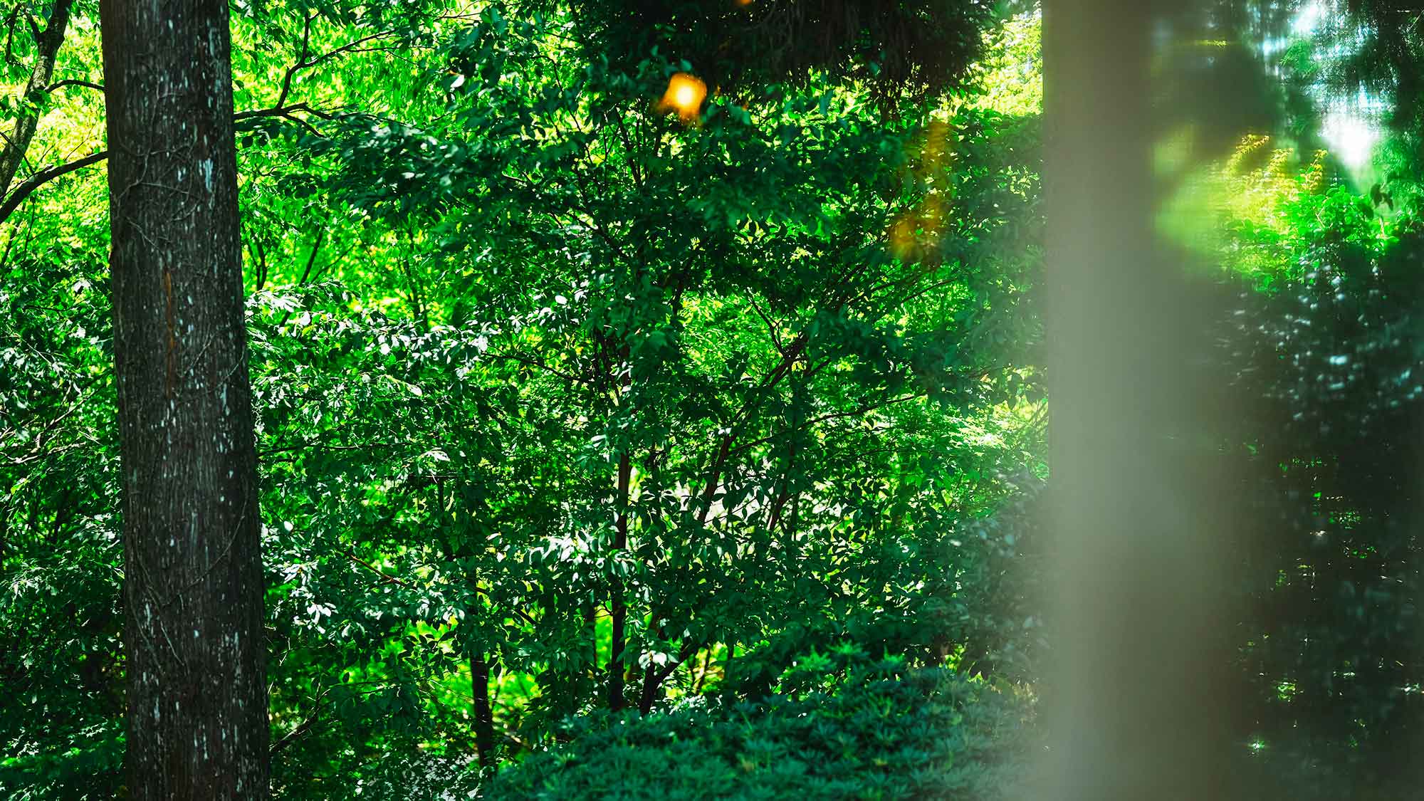 【Marigold】リビングの大きな窓からは黒川の移り行く自然の景色を眺めることができます。