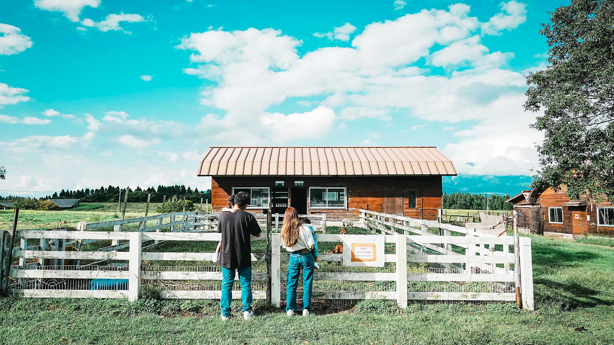 【周辺観光】敷地内には放牧されているヤギを見学することもできます。※エサや雑草は与えないでください。
