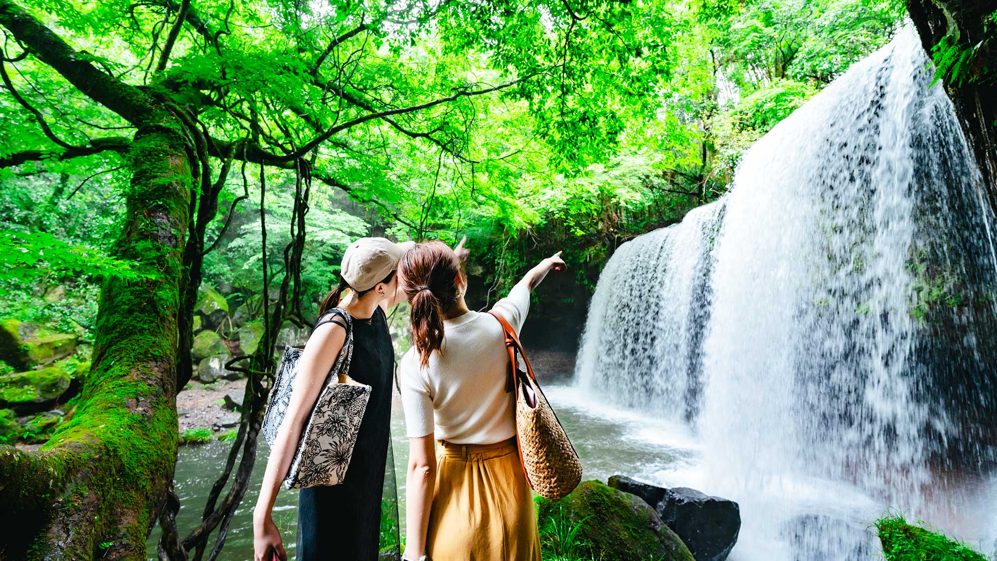 【周辺観光】落差は約10m、幅は約20m、カーテンの様に幅広く落ちる水は優美で神秘的。