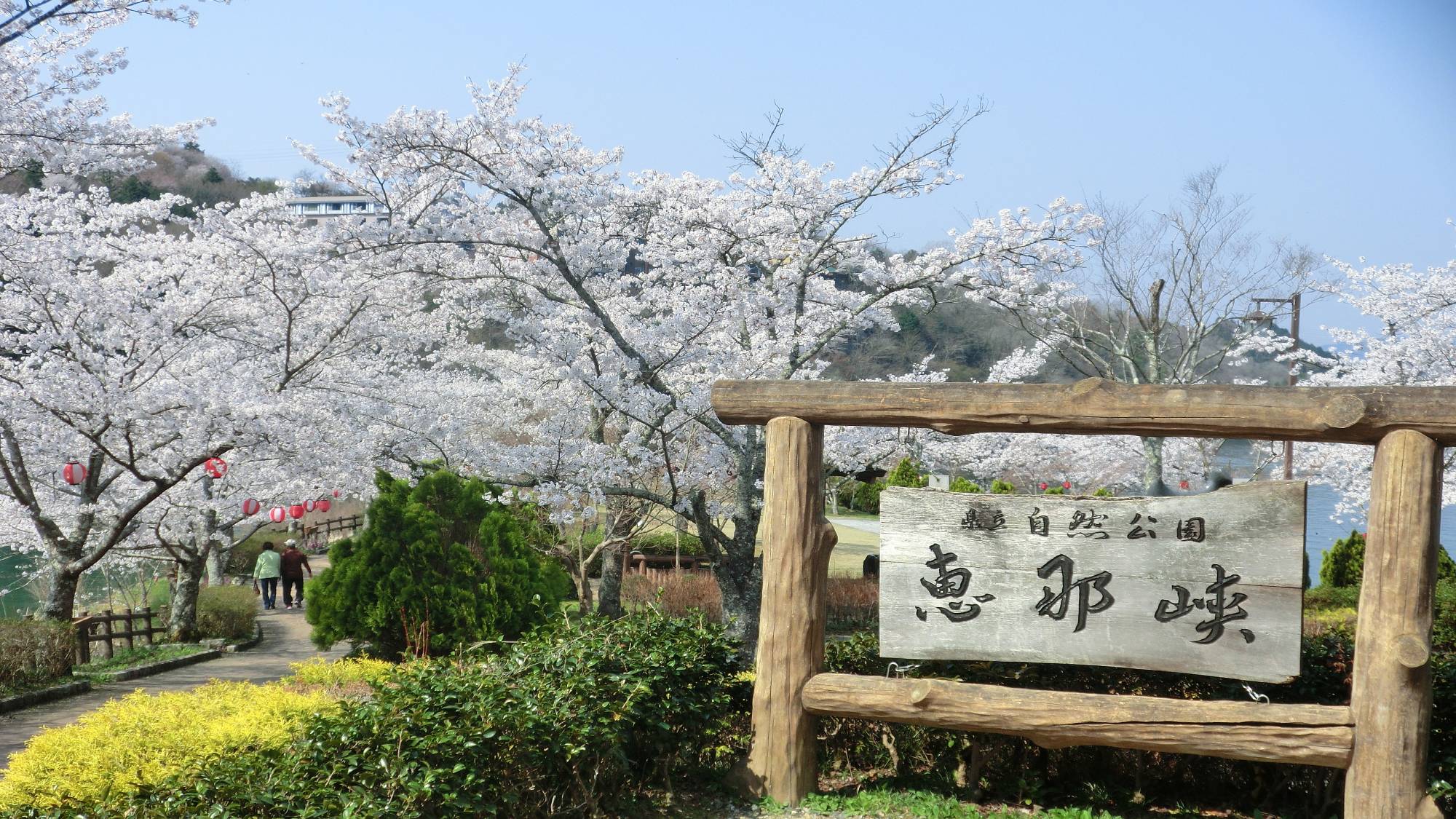 【恵那峡】＜春＞桜開花シーズン
