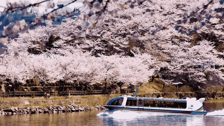 【恵那峡】＜春＞桜開花シーズン