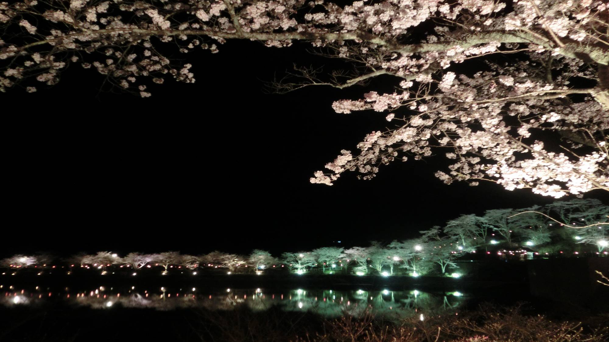 【恵那峡】＜春＞桜開花シーズン