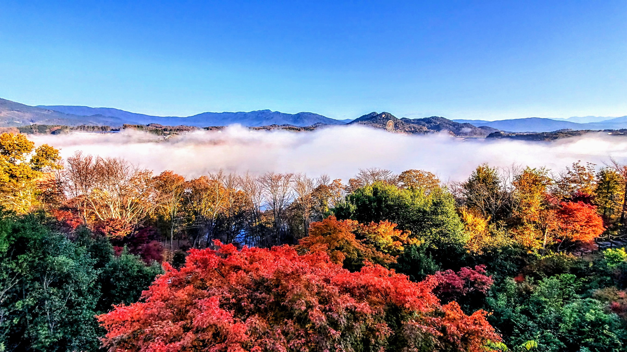 【恵那峡】＜秋＞紅葉シーズン