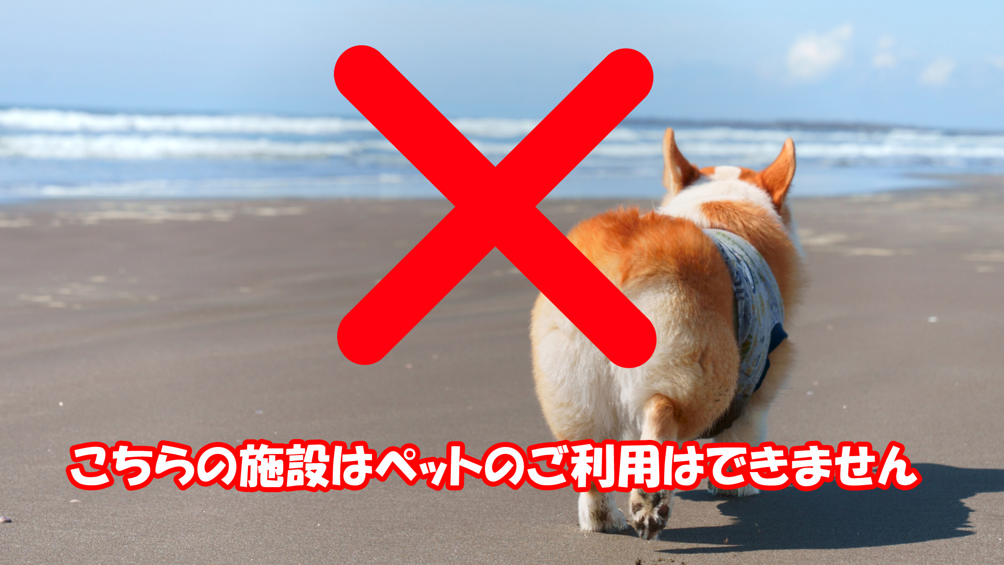 こちらの施設は、ペットのご利用はできませんので、ご了承ください。