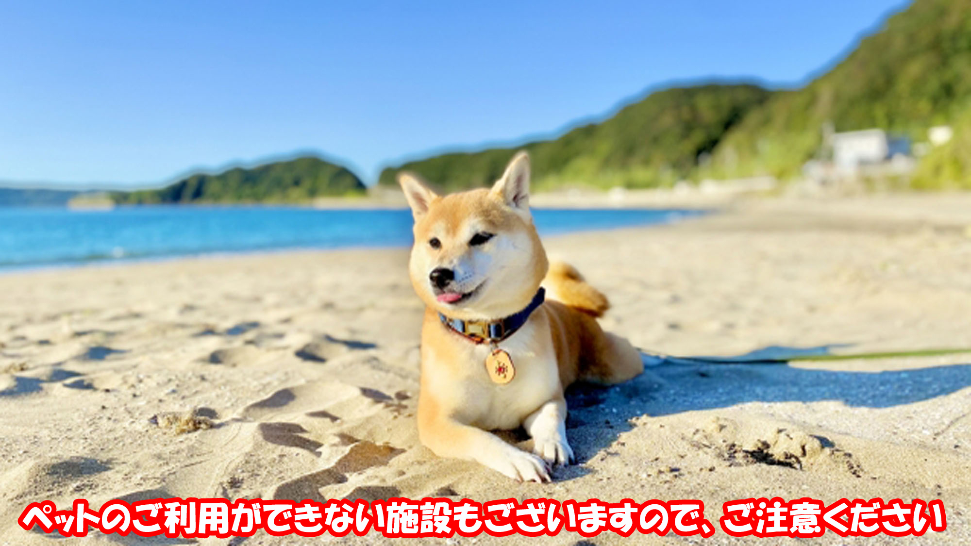 ペットのご利用ができない施設もございますので、ご注意ください