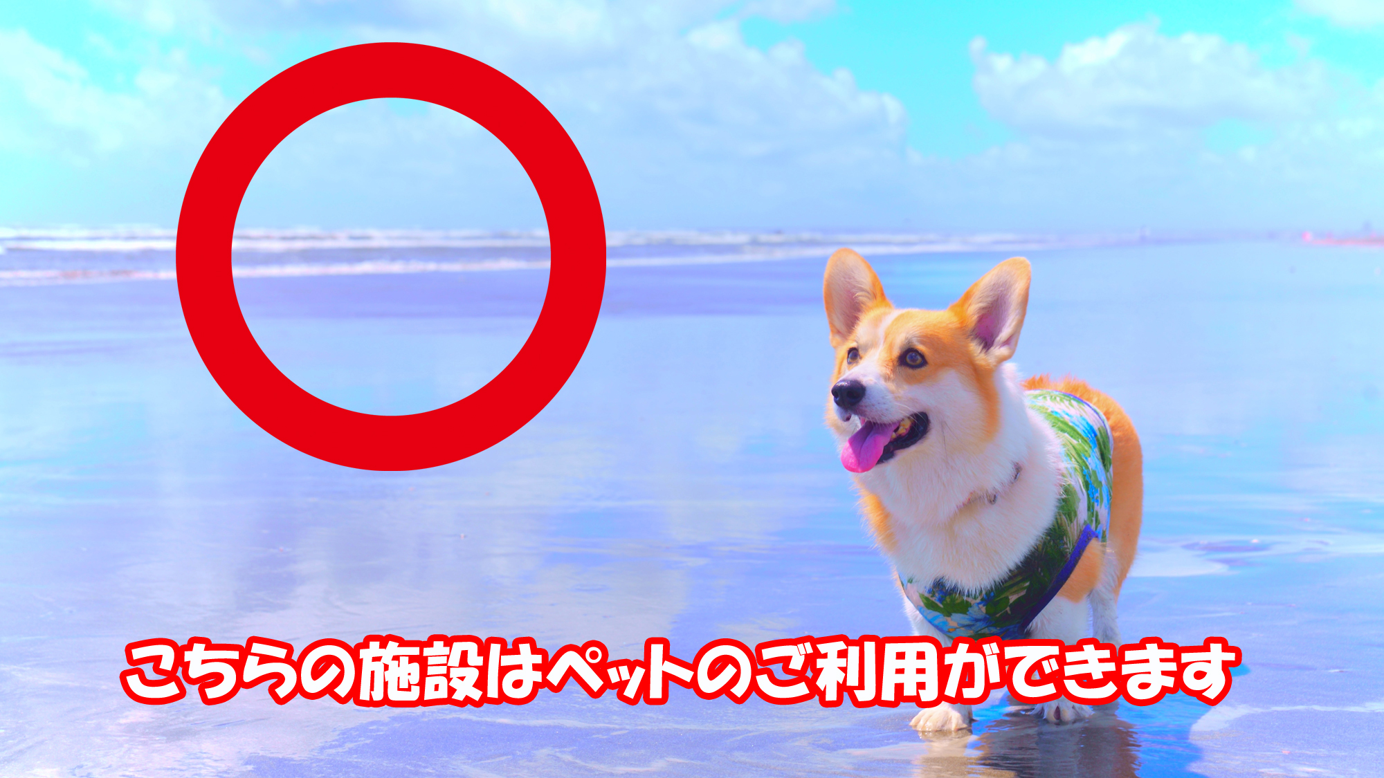 こちらの施設は、ペットのご利用ができます。（小型犬1,100円・中型犬1,650円・大型犬は不可です