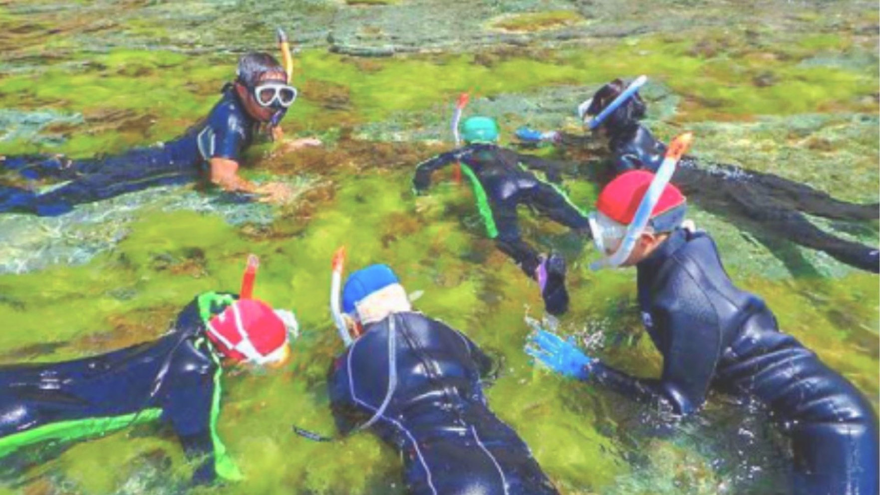 素泊り/夏休みは越前海岸がおススメ！透明度抜群の福井の海でシュノーケリング