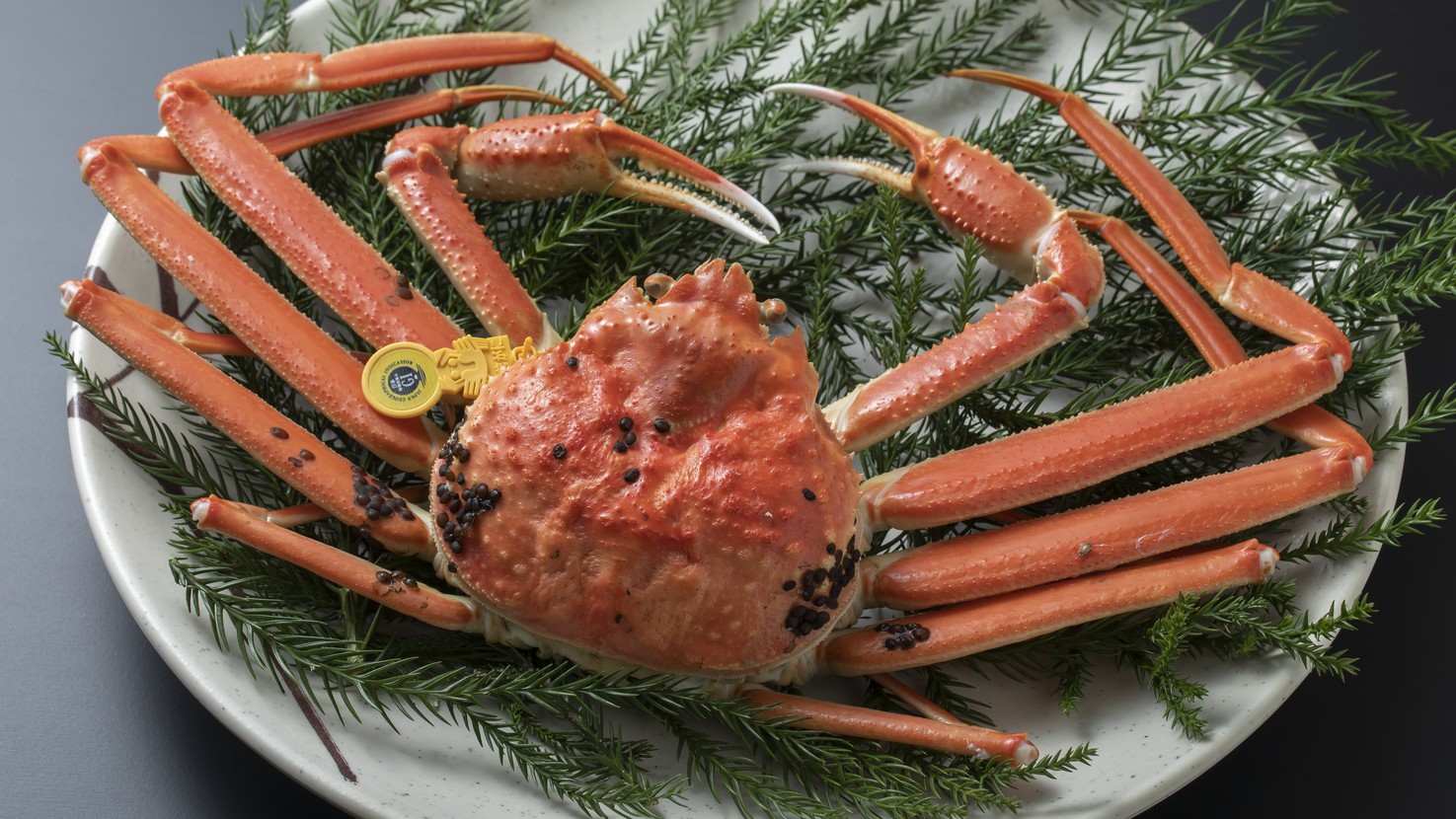 ＜2食付＞福井の冬の味覚を堪能！越前蟹御前と海景ジャグジーの貸別荘で過ごすグルメバカンス