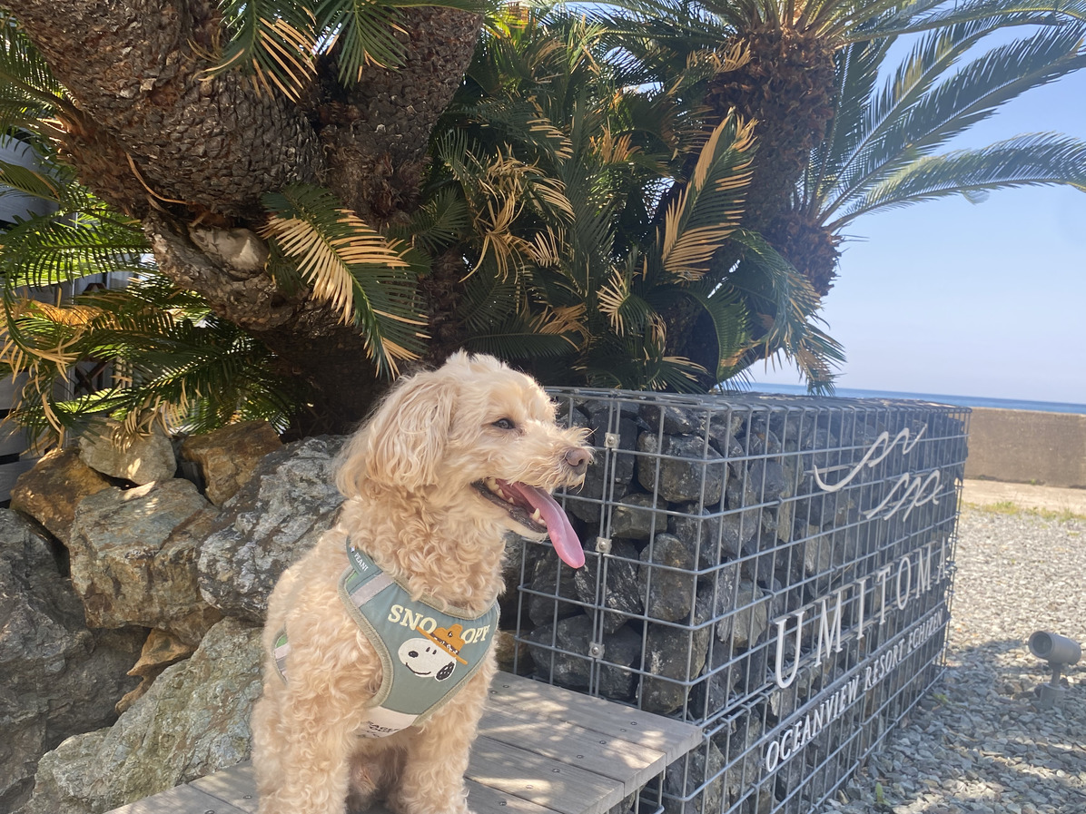 愛犬と自然を楽しむグランピングできるヴィラ※素泊まりグリルなしプラン