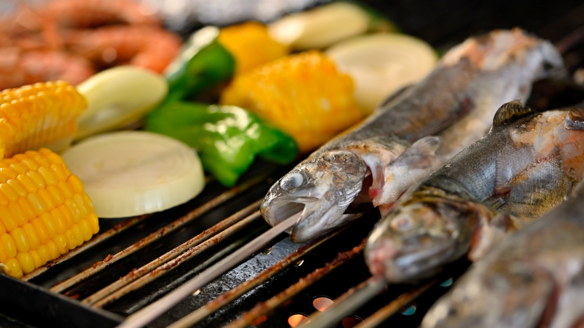 【サウナイキタイ】豊かな緑と清流のせせらぎでととのう！BBQと星空で大自然を堪能／2食付
