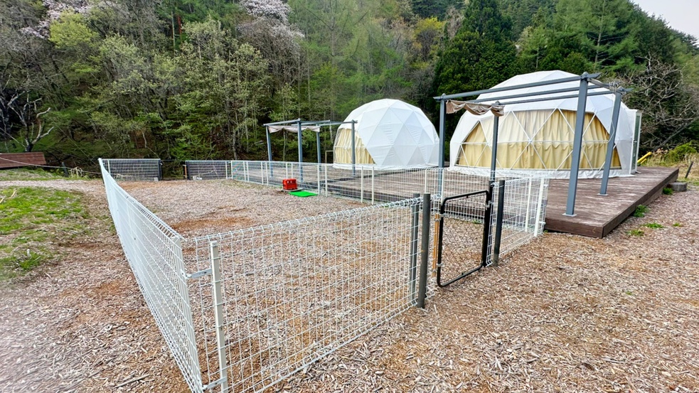 ▼・ェ・▼ペットOK□FORESTview□SKY DOME