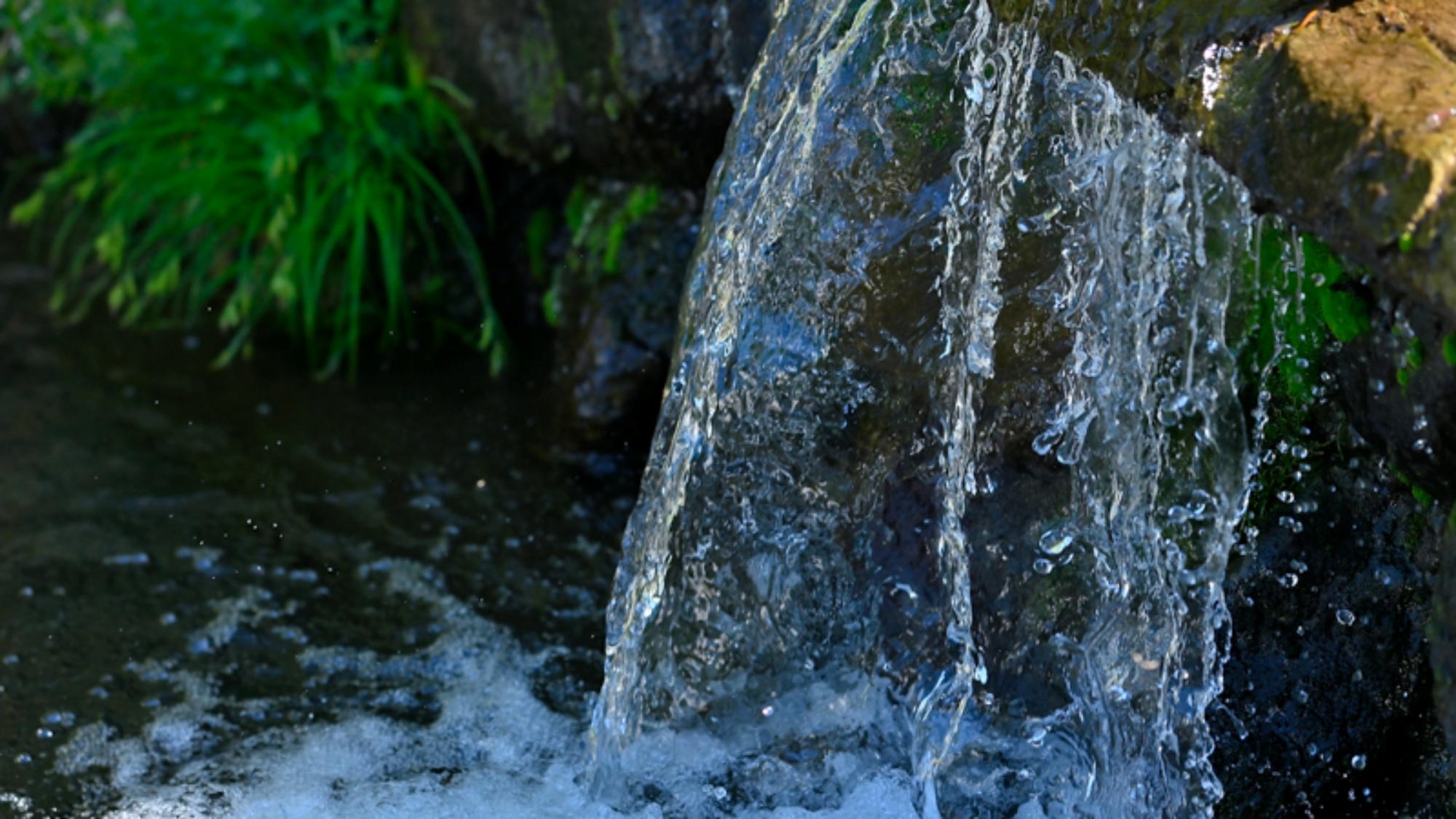 *敷地内／当館は「水のキャンパス」をテーマにしたグランピング施設。透き通った川で大人も子供水遊び！