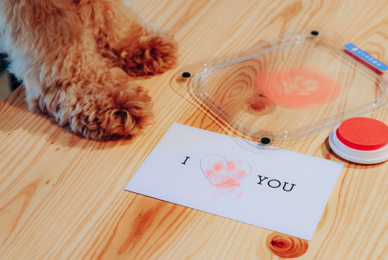 ★DOG cabin★ペット可★【格安】気軽に廃校グランピングプラン（素泊まり）