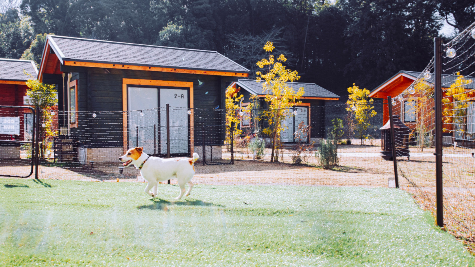 【DOG cabin】愛犬と一緒に駆け回れるプライベートドッグランで、特別な思い出づくりを。