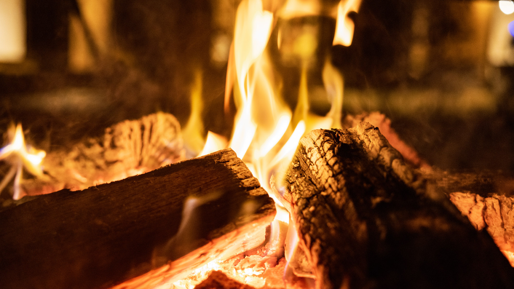 焚き火を囲むBBQタイム。炎のぬくもりが会話を弾ませます。