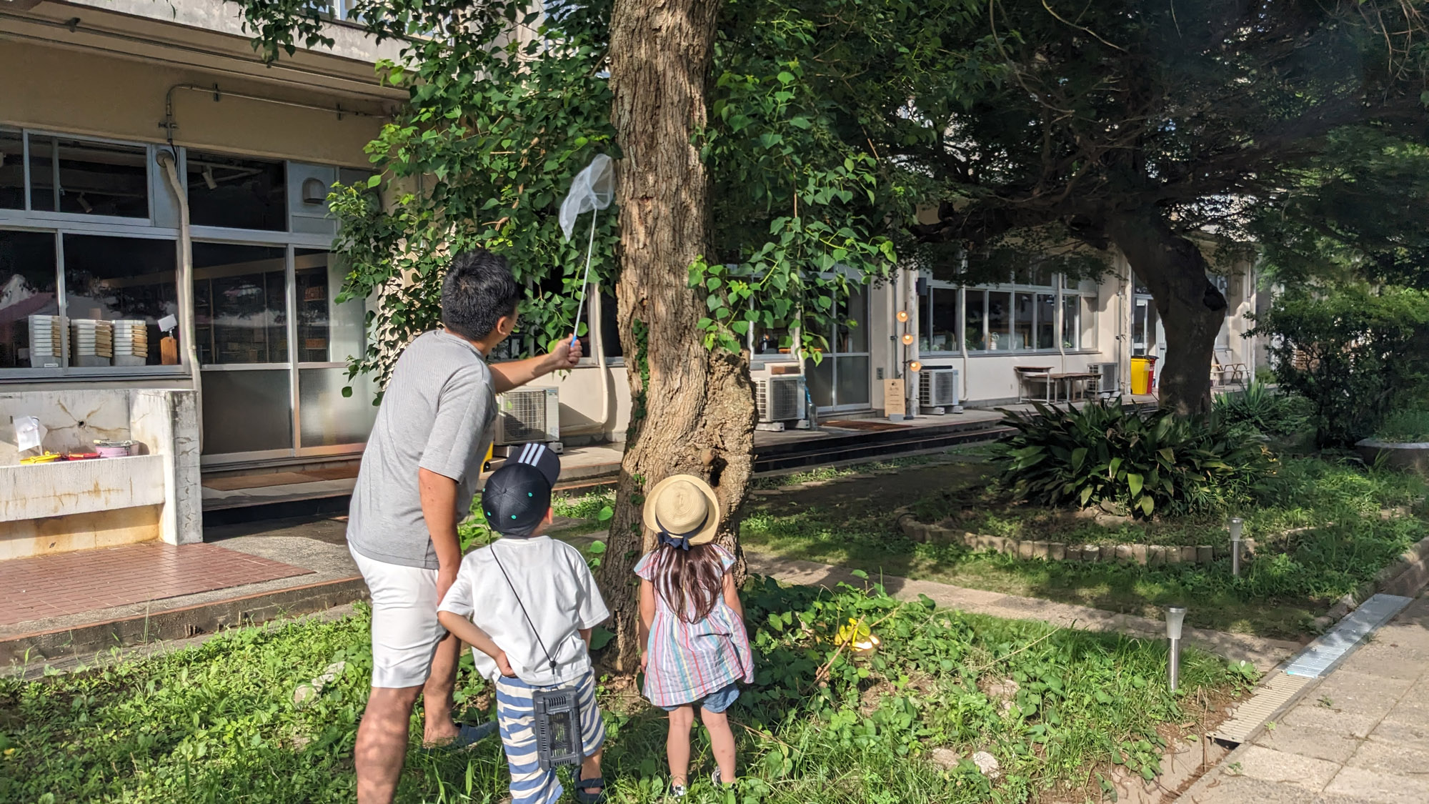 夏の虫取り探検。家族で楽しむ自然体験。