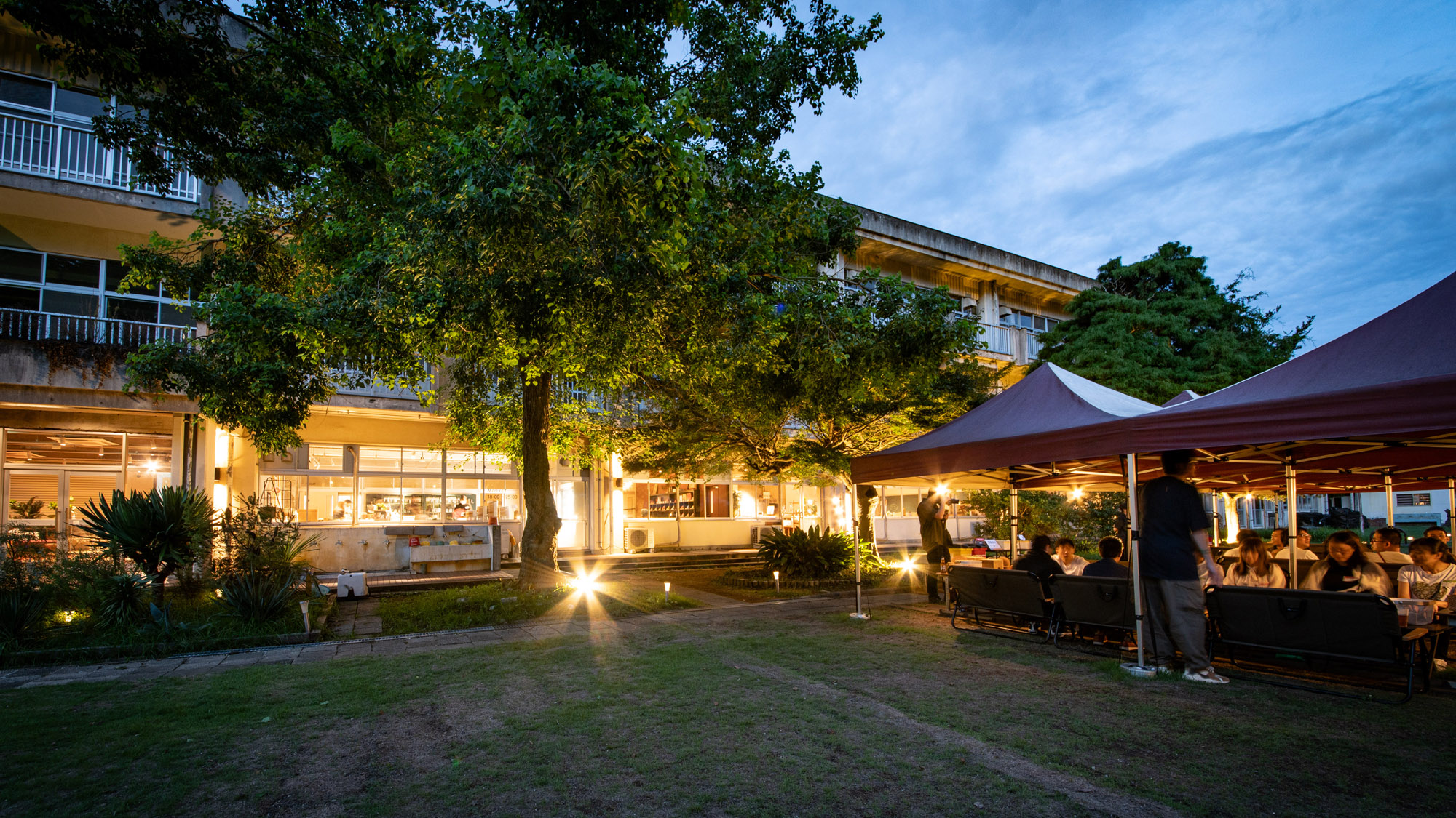 木々のライトアップとBBQの明かりが織りなす、幻想的な夜のひととき。