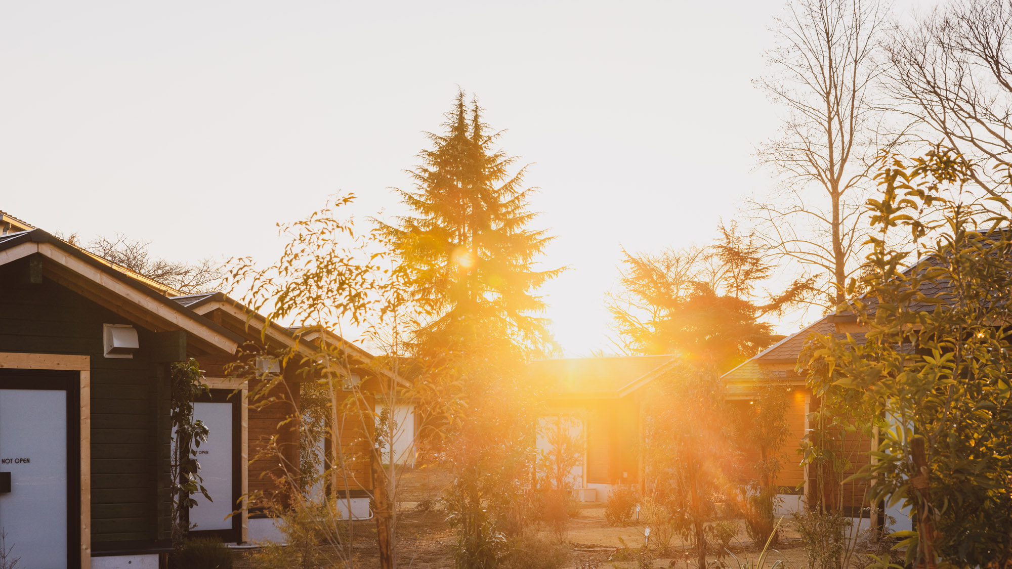 夕陽に照らされるキャビン群。あたたかさに包まれるひととき。