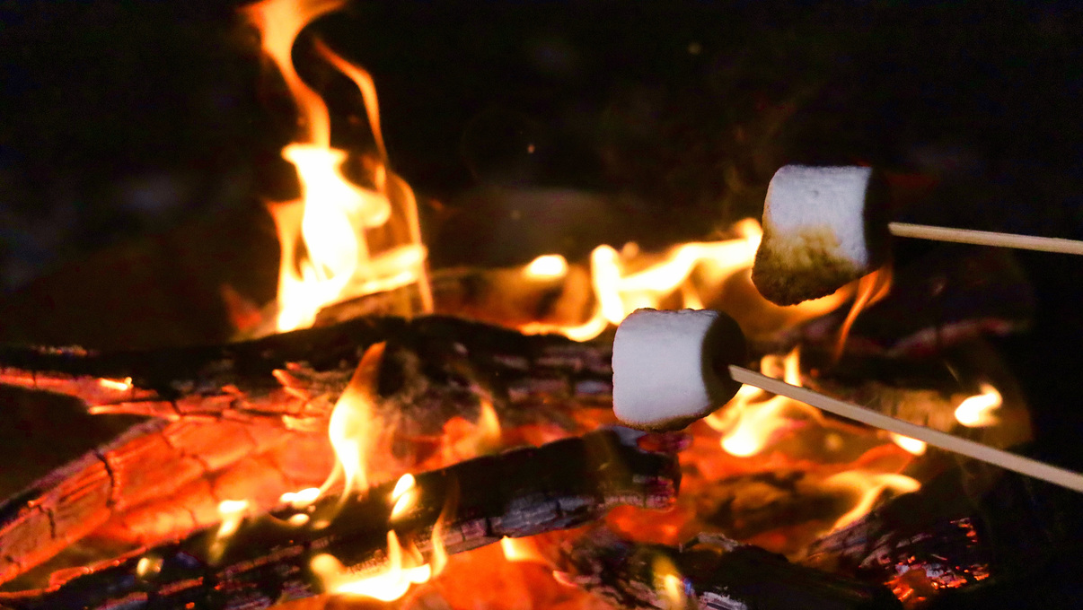 【夏季限定】満点の星空の下でBBQ〜ファミリー大歓迎〜 